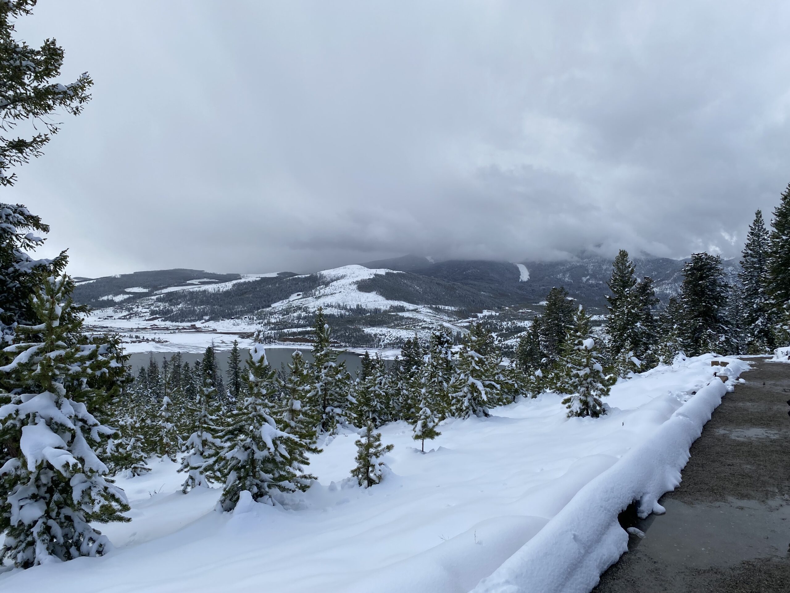 Picture of snow covering the ground and some evergreen trees with a mountain in the distance. The sky is very cloudy and gray. The picture looks cold