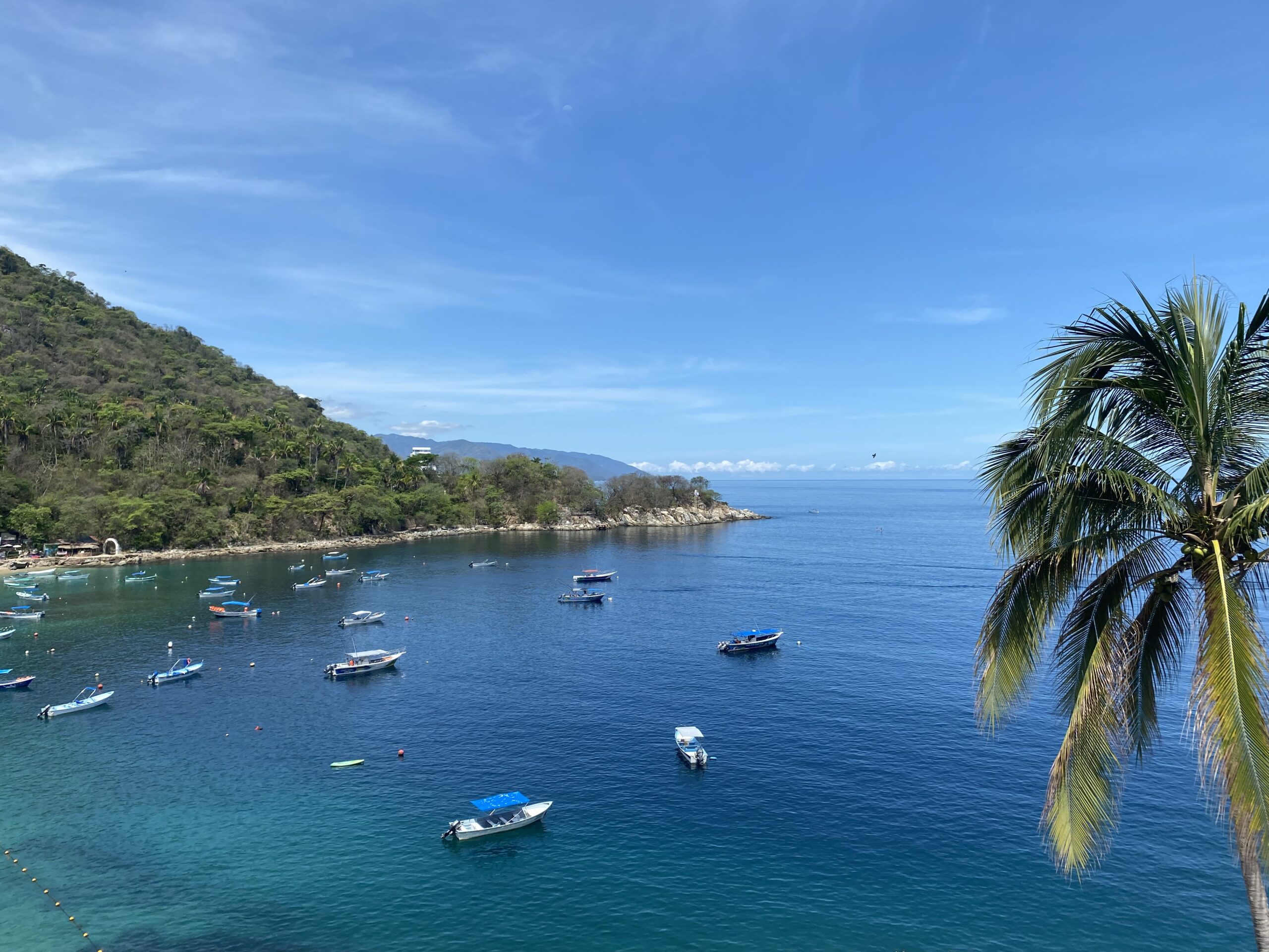 Picture of an amazing color gradient in the oceon going from a sea green to deep blue. There are a few small boats interspersed in the water and a green, tree-filled hill in the distance. 