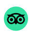 Tripadvisor icon (green circle with the outline of an owl face)