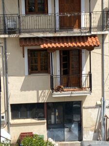 dog chilling on a balcony